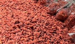 枸杞硫磺爆料视频大全集,视频大全集深度剖析